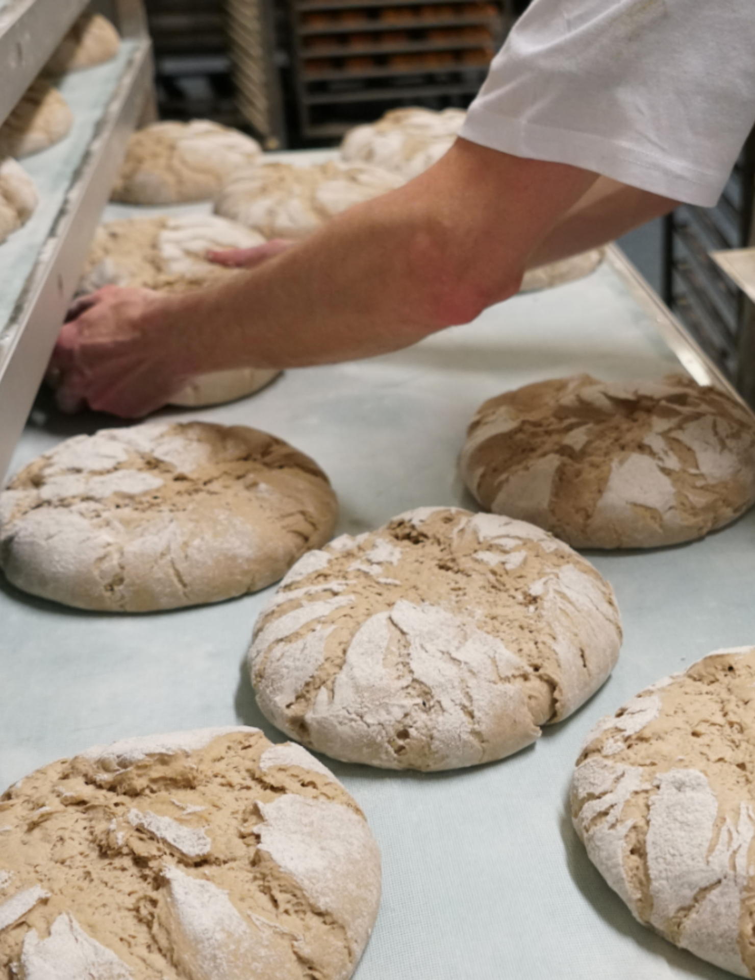 Brote Landbaeckerei Gagel