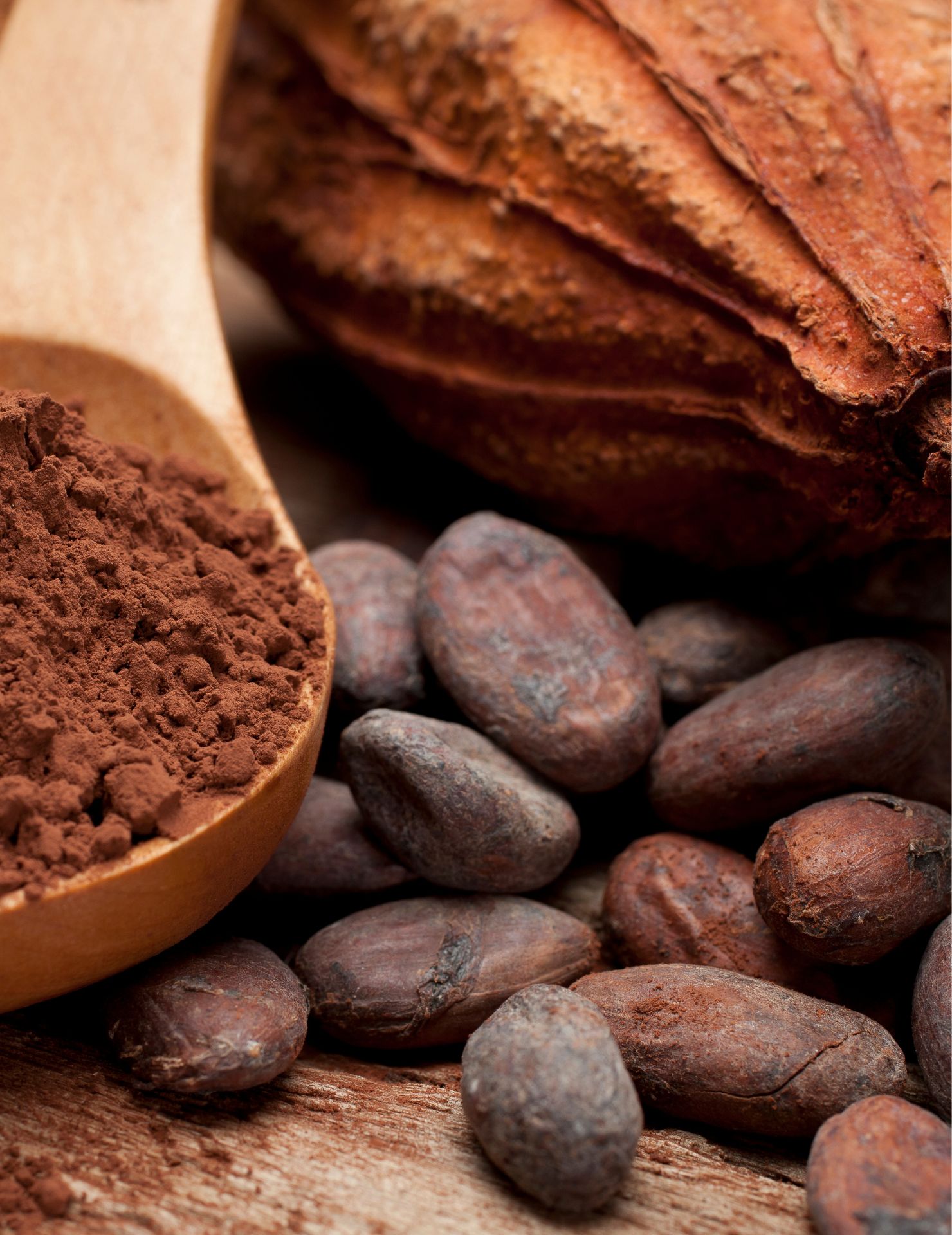 Nachhaltigkeit und soziale Verantwortung